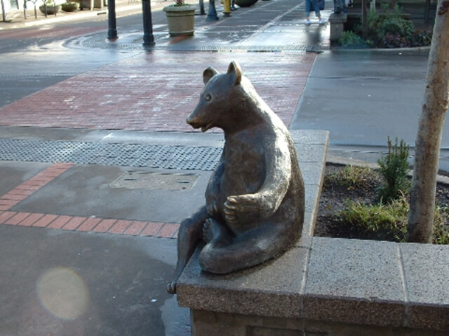 Bear with me